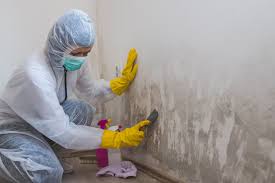 Best Mold Prevention Services  in Corsicana, TX